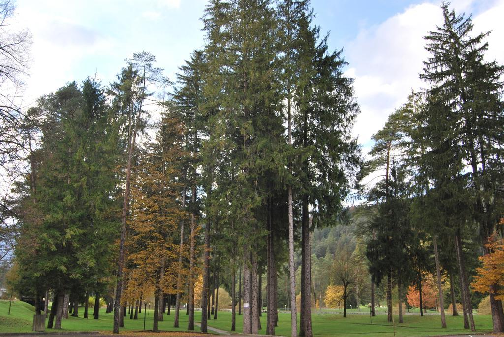 Apartment Residenza Finestra Sul Parco
